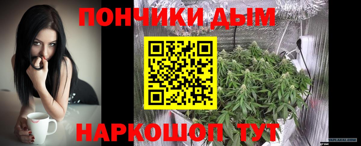 Шишки марихуана сатива  Шишки марихуана индика  Бошки Шишки план  Вход с VPN  Ростов-на-Дону  Каннабис семена 